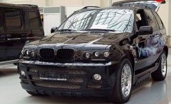 4 899 р. Комплект противотуманных фар в передний бампер Тарантул на BMW X5 E53 дорестайлинг (1999-2003)  с доставкой в г. Вологда. Увеличить фотографию 2