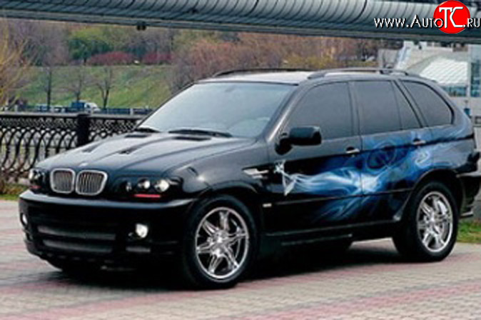 4 899 р. Комплект противотуманных фар в передний бампер Тарантул на BMW X5 E53 дорестайлинг (1999-2003)  с доставкой в г. Вологда