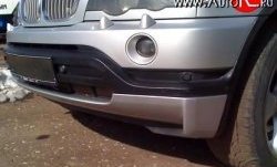 4 399 р. Накладка переднего бампера Sport (дорестайл) BMW X5 E53 дорестайлинг (1999-2003)  с доставкой в г. Вологда. Увеличить фотографию 2