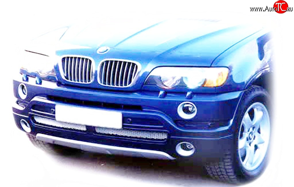 119 р. Накладка AS Concept на передний бампер BMW X5 E53 дорестайлинг (1999-2003) (Неокрашенная)  с доставкой в г. Вологда