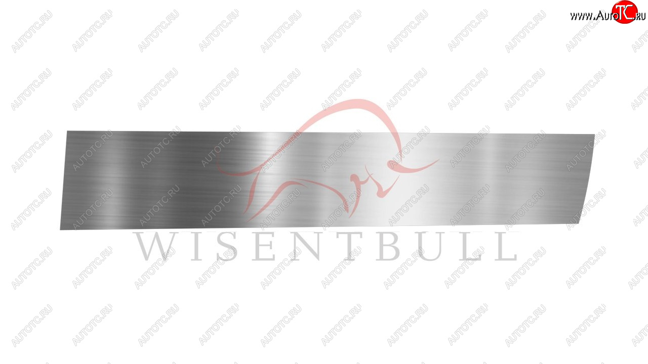 1 989 р. Ремкомплект правой двери Wisentbull BMW 5 серия E39 седан дорестайлинг (1995-2000)  с доставкой в г. Вологда