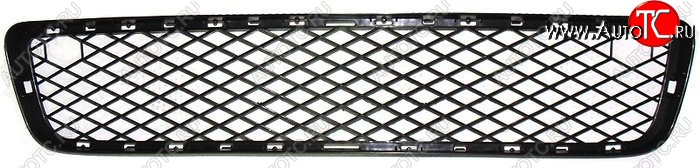 2 379 р. Решетка в передний бампер SAT BMW X5 E70 дорестайлинг (2006-2010) (Нижняя)  с доставкой в г. Вологда