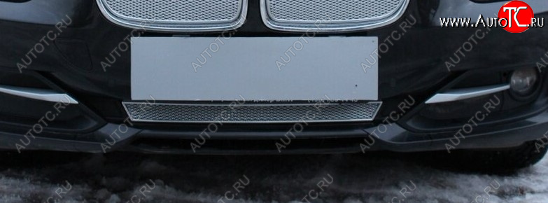 3 899 р. Защитная сетка радиатора в бампер Стрелка 11 Премиум (алюминий)  BMW 3 серия ( F30,  F31) (2012-2015) седан дорестайлинг, универсал дорестайлинг (Цвет: хром)  с доставкой в г. Вологда