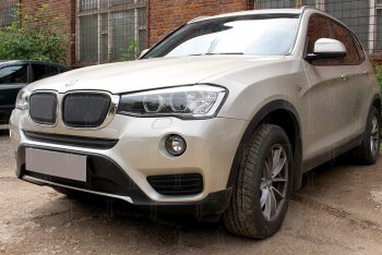 6 749 р. Защитная сетка решетки радиатора Стрелка 11 Премиум (алюминий) BMW X3 F25 рестайлинг (2014-2017) (Цвет: черный)  с доставкой в г. Вологда. Увеличить фотографию 2