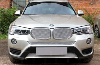 6 849 р. Защитная сетка решетки радиатора Стрелка 11 Премиум (алюминий)  BMW X3  F25 (2014-2017) рестайлинг (Цвет: хром)  с доставкой в г. Вологда. Увеличить фотографию 2
