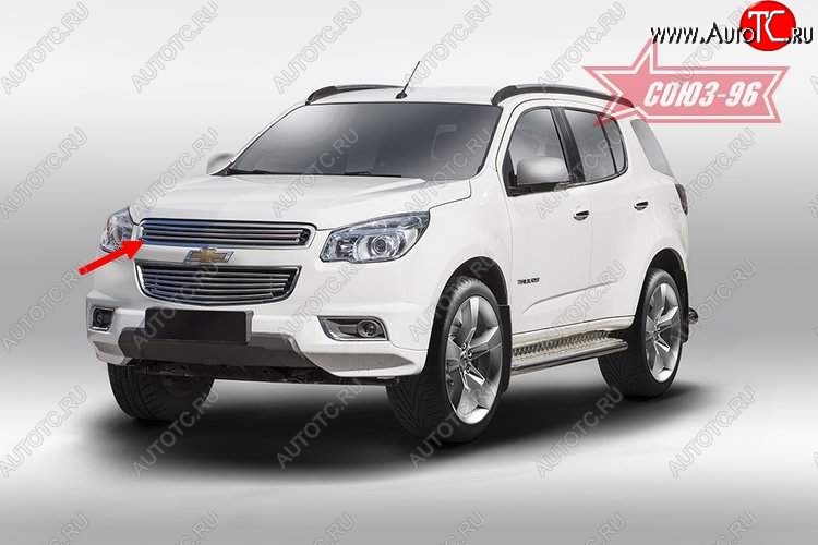 8 684 р. Декоративный элемент решетки радиатора Souz-96 (d16) Chevrolet Trailblazer GM800 дорестайлинг (2012-2016)  с доставкой в г. Вологда