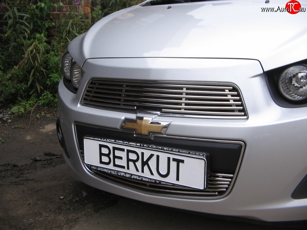 4 399 р. Декоративная вставка решетки радиатора Berkut Chevrolet Aveo T300 седан (2011-2015)  с доставкой в г. Вологда