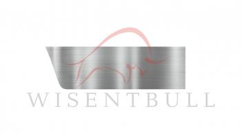 Ремкомплект правой двери Wisentbull Chevrolet Viva (2005-2008)