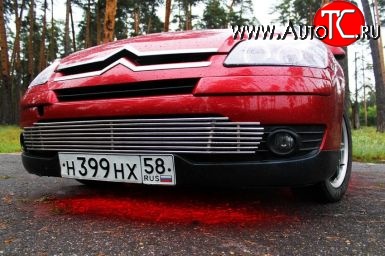 7 199 р. Декоративная вставка воздухозаборника Berkut CITROEN C4  дорестайлинг, хэтчбэк 5 дв. (2004-2008)  с доставкой в г. Вологда