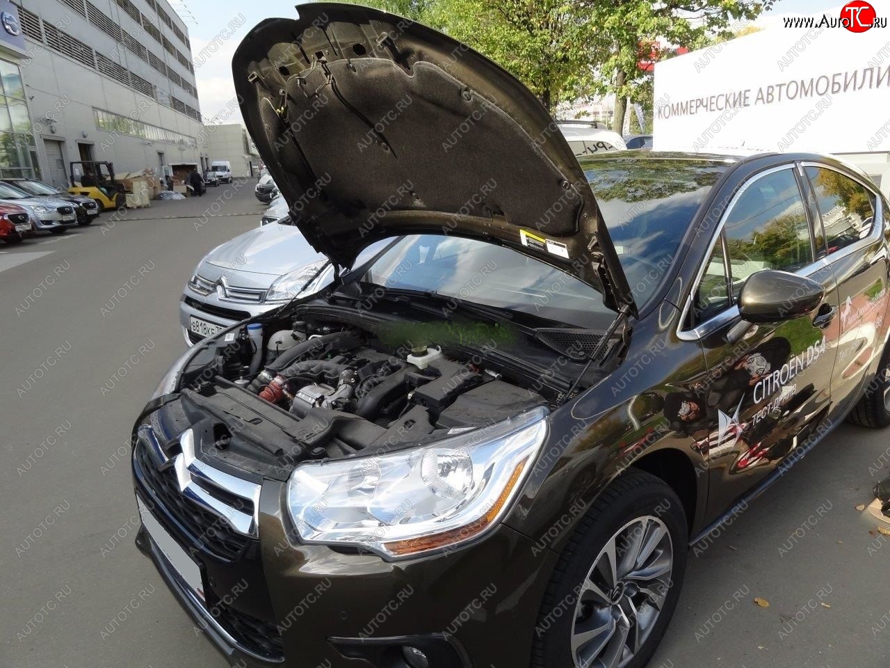 1 949 р. Упоры капота Russtal CITROEN DS4 PF1 дорестайлинг,хэтчбэк 5дв. (2010-2015)  с доставкой в г. Вологда