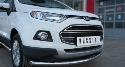 15 649 р. Одинарная защита переднего бампера диаметром 63 мм SLITKOFF Ford EcoSport дорестайлинг (2013-2019)  с доставкой в г. Вологда. Увеличить фотографию 3