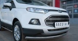 13 749 р. Защита переднего бампера (Ø75х42 мм, нержавейка) Russtal Ford EcoSport дорестайлинг (2013-2019)  с доставкой в г. Вологда. Увеличить фотографию 2