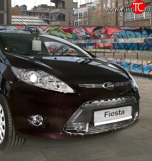 4 994 р. Декоративные вставки воздухозаборника Souz-96 Ford Fiesta 6 хэтчбэк 5 дв. дорестайлинг (2008-2012)  с доставкой в г. Вологда