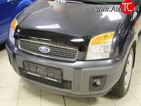 2 599 р. Дефлектор капота NovLine . Ford Fusion 1 хэтчбэк дорестайлинг (2002-2005)  с доставкой в г. Вологда