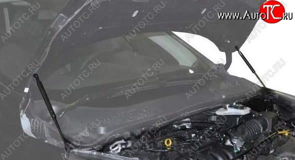 2 199 р. Газовые упоры капота Berkut Ford Kuga 2 рестайлинг (2016-2019)  с доставкой в г. Вологда