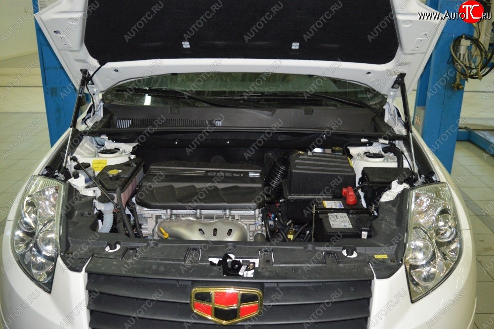 2 199 р. Газовые упоры капота Berkut Geely Emgrand X7 дорестайлинг (2011-2015)  с доставкой в г. Вологда