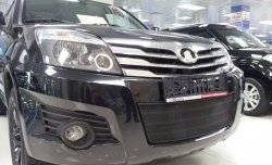 1 469 р. Сетка на бампер Russtal (черная) Great Wall Hover H3  дорестайлинг (2010-2014)  с доставкой в г. Вологда. Увеличить фотографию 2