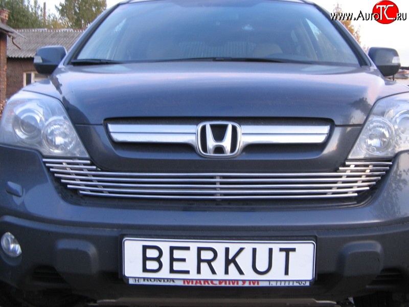 5 999 р. Декоративная вставка решетки радиатора Berkut Honda CR-V RE1,RE2,RE3,RE4,RE5,RE7 рестайлинг (2009-2012)  с доставкой в г. Вологда