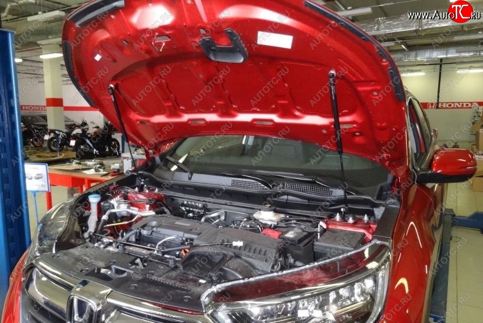 2 049 р. Упоры капота Russtal Honda CR-V RW,RT рестайлинг (2019-2022)  с доставкой в г. Вологда