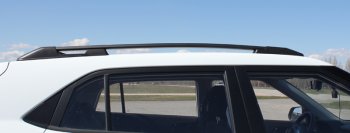 8 649 р. Комплект рейлингов АПС Hyundai Creta GS дорестайлинг (2015-2019) (Серебристые без поперечин )  с доставкой в г. Вологда. Увеличить фотографию 2