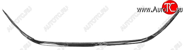 1 189 р. Молдинг переднего бампера SAT (хром) Hyundai Elantra MD дорестайлинг (2010-2013) (Неокрашенный) с доставкой в г. Вологда Увеличить фотографию 1 1 189 р. Молдинг переднего бампера SAT (хром) Hyundai Elantra MD дорестайлинг (2010-2013) (Неокрашенный) с доставкой в г. Вологда
