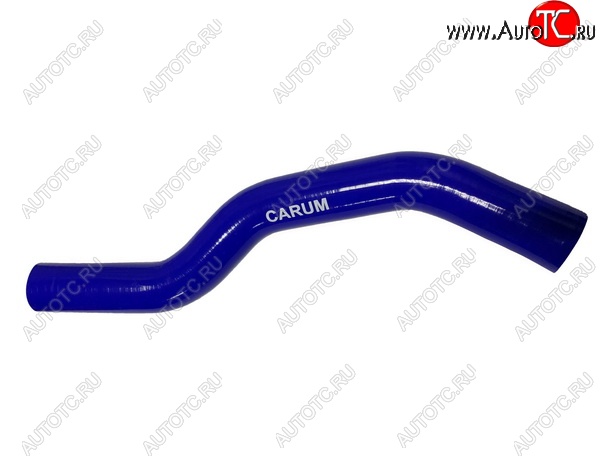 1 079 р. Патрубок радиатора (2.7 силикон) CARUM  Hyundai Santa Fe  SM (2000-2012) (верхний)  с доставкой в г. Вологда