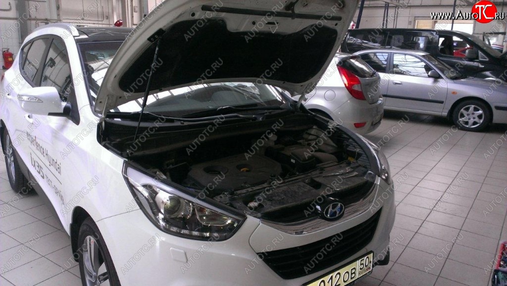 2 199 р. Газовые упоры капота Berkut Hyundai IX35 LM рестайлинг (2013-2018)  с доставкой в г. Вологда