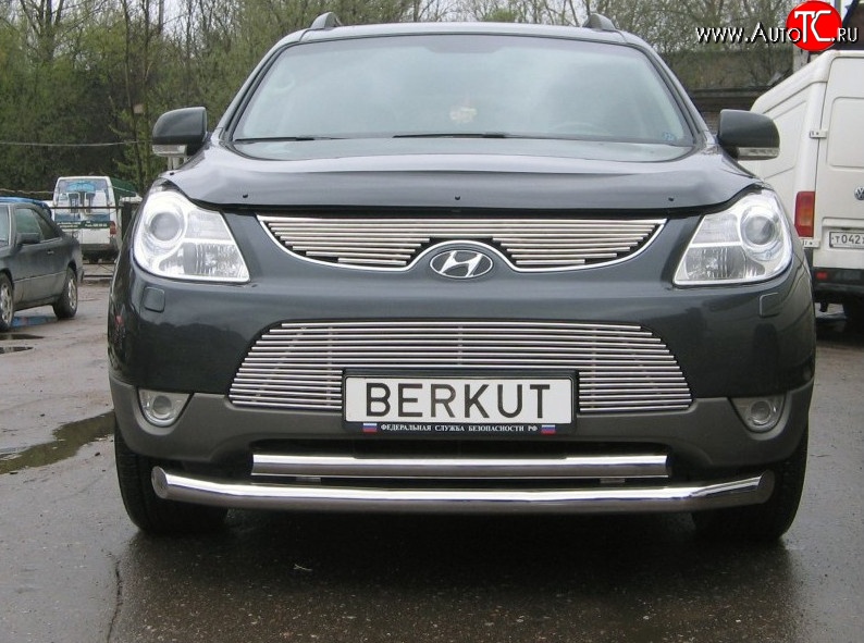 4 799 р. Декоративная вставка решетки радиатора Berkut Hyundai IX55 EN (2006-2013)  с доставкой в г. Вологда