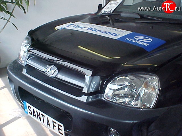 2 499 р. Дефлектор капота NovLine Hyundai Santa Fe SM (2000-2012)  с доставкой в г. Вологда