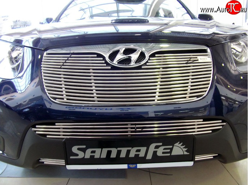 5 849 р. Декоративная вставка решетки радиатора Berkut (d10 мм) Hyundai Santa Fe CM рестайлинг (2009-2012)  с доставкой в г. Вологда