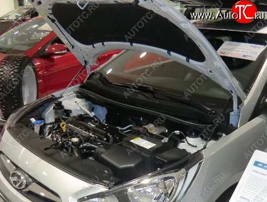2 199 р. Газовые упоры капота Berkut Hyundai Solaris RBr седан дорестайлинг (2010-2014)  с доставкой в г. Вологда
