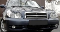 919 р. Реснички на фары RA Hyundai Sonata EF рестайлинг ТагАЗ (2001-2013) (Неокрашенные)  с доставкой в г. Вологда. Увеличить фотографию 2