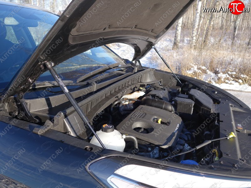 2 199 р. Газовые упоры капота Berkut Hyundai Tucson TL дорестайлинг (2015-2018)  с доставкой в г. Вологда