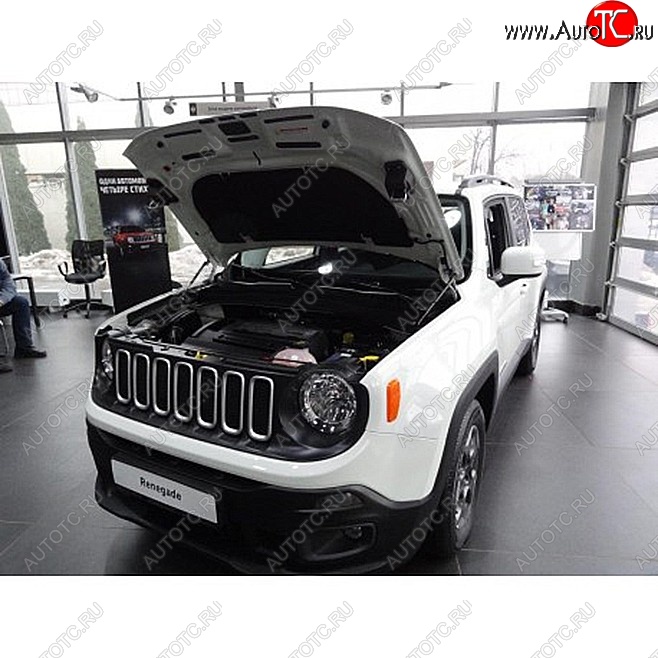 2 049 р. Упоры капота Russtal Jeep Renegade 1 BU дорестайлинг (2014-2020)  с доставкой в г. Вологда
