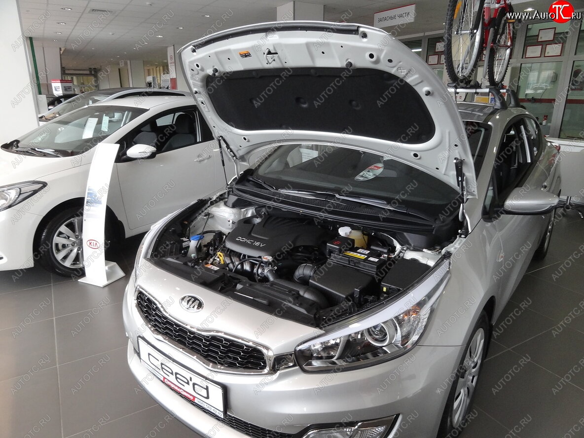 2 049 р. Упоры капота Russtal KIA Ceed 2 JD дорестайлинг универсал (2012-2016)  с доставкой в г. Вологда
