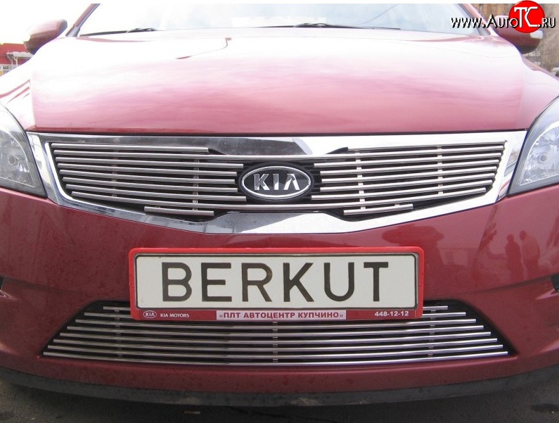 5 099 р. Декоративная вставка решетки радиатора Berkut KIA Ceed 1 ED рестайлинг, хэтчбэк 5 дв. (2010-2012)  с доставкой в г. Вологда