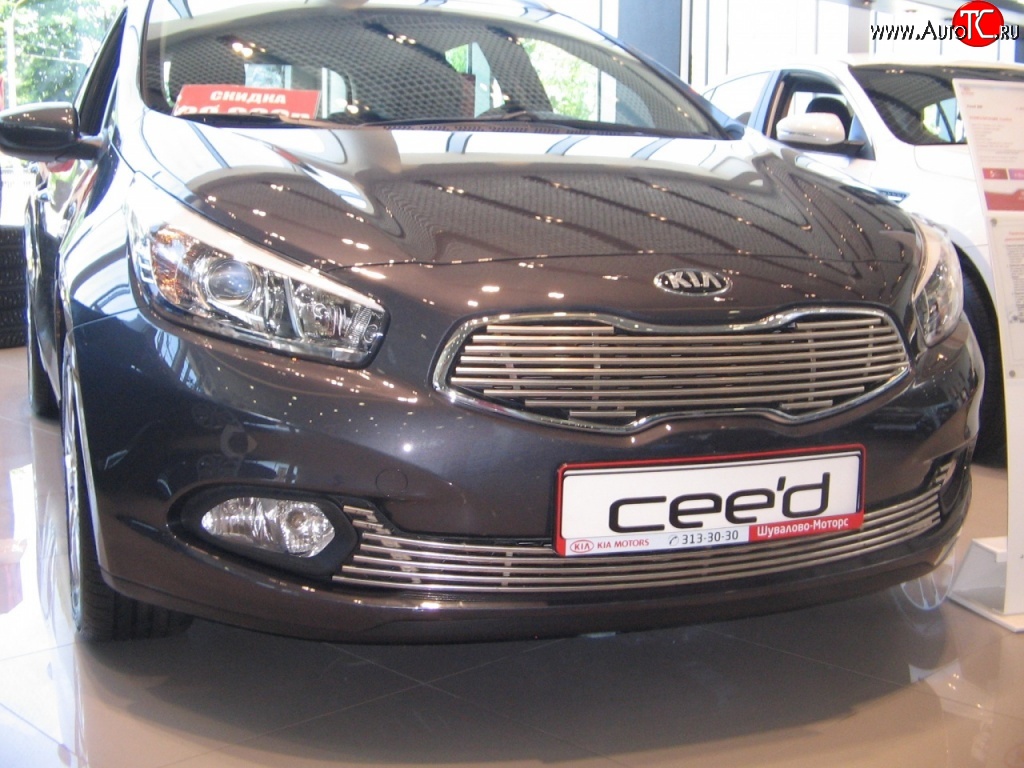 5 099 р. Декоративная вставка решетки радиатора Berkut KIA Ceed 1 ED рестайлинг, хэтчбэк 5 дв. (2010-2012)  с доставкой в г. Вологда