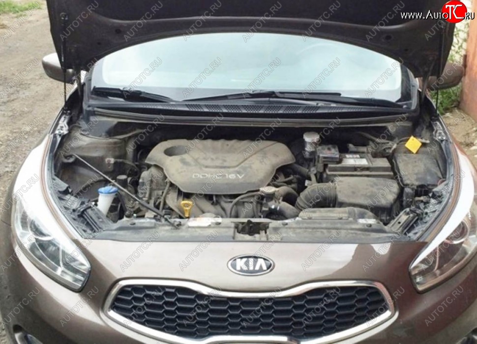 2 199 р. Газовые упоры капота Berkut KIA Ceed 1 ED рестайлинг, хэтчбэк 5 дв. (2010-2012)  с доставкой в г. Вологда