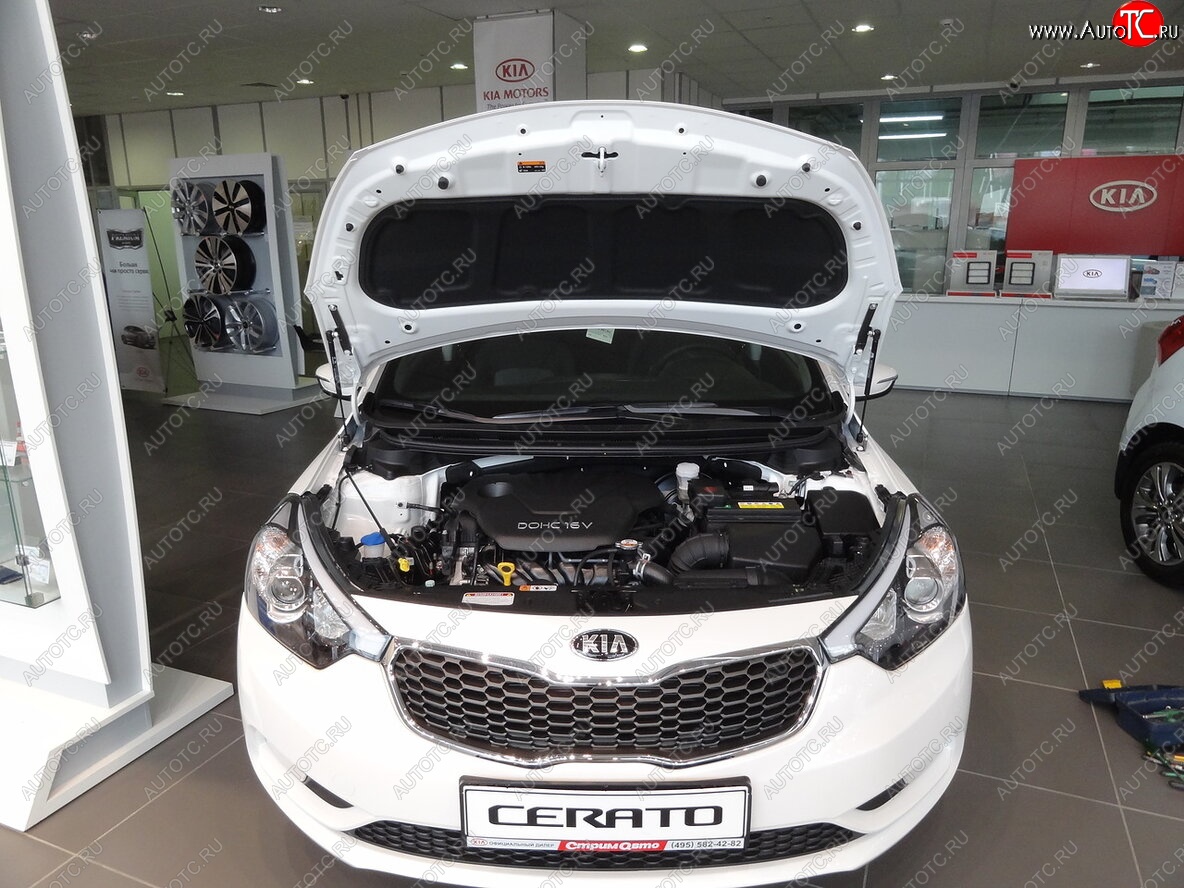 2 049 р. Упоры капота Russtal KIA Cerato 3 YD дорестайлинг седан (2013-2016)  с доставкой в г. Вологда