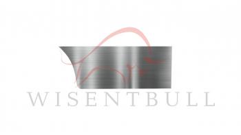 Ремкомплект правой двери Wisentbull Toyota Altezza (1998-2005)
