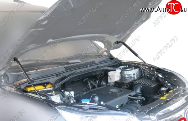 2 149 р. Газовые упоры капота Berkut Lifan X60 1-ый рестайлинг (2015-2016)  с доставкой в г. Вологда