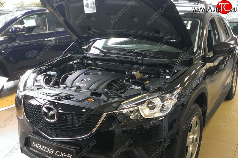 2 199 р. Газовые упоры капота Berkut Mazda CX-5 KE дорестайлинг (2011-2014)  с доставкой в г. Вологда