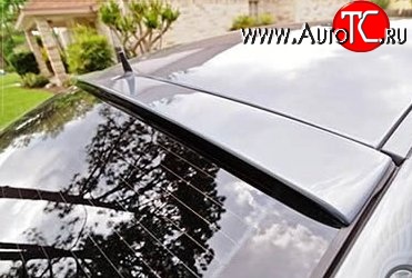5 949 р. Козырёк на заднее стекло AMG дорестайл Mercedes-Benz CLS class C219 (2004-2011) (Неокрашенный)  с доставкой в г. Вологда