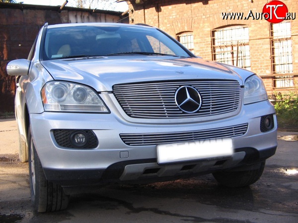 5 399 р. Декоративная вставка воздухозаборника Berkut Mercedes-Benz ML class W164 дорестайлинг (2005-2008)  с доставкой в г. Вологда