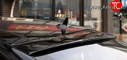 7 209 р. Козырёк на заднее лобовое стекло Lorinser V2 Mercedes-Benz S class 5 W221 седан дорестайлинг (2005-2009)  с доставкой в г. Вологда