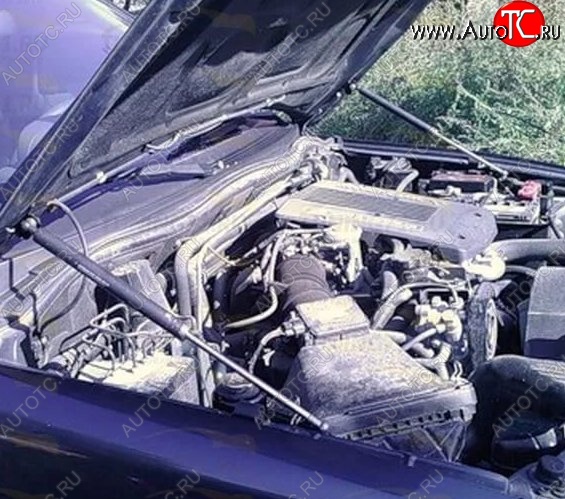 2 199 р. Газовые упоры капота Berkut Mitsubishi Pajero 3 V70 дорестайлинг (1999-2003)  с доставкой в г. Вологда