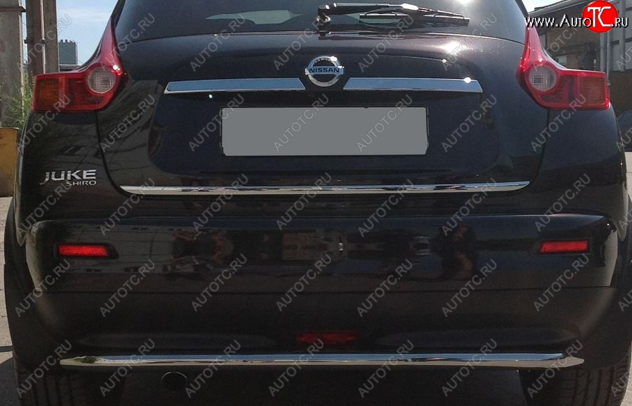 3 049 р. Защита заднего бампера Petroil Tuning (d51, нержавейка) Nissan Juke 1 YF15 дорестайлинг (2010-2014)  с доставкой в г. Вологда