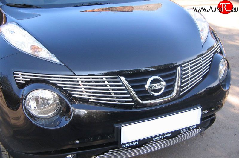 6 499 р. Декоративная вставка решетки радиатора Berkut Nissan Juke 1 YF15 дорестайлинг (2010-2014)  с доставкой в г. Вологда