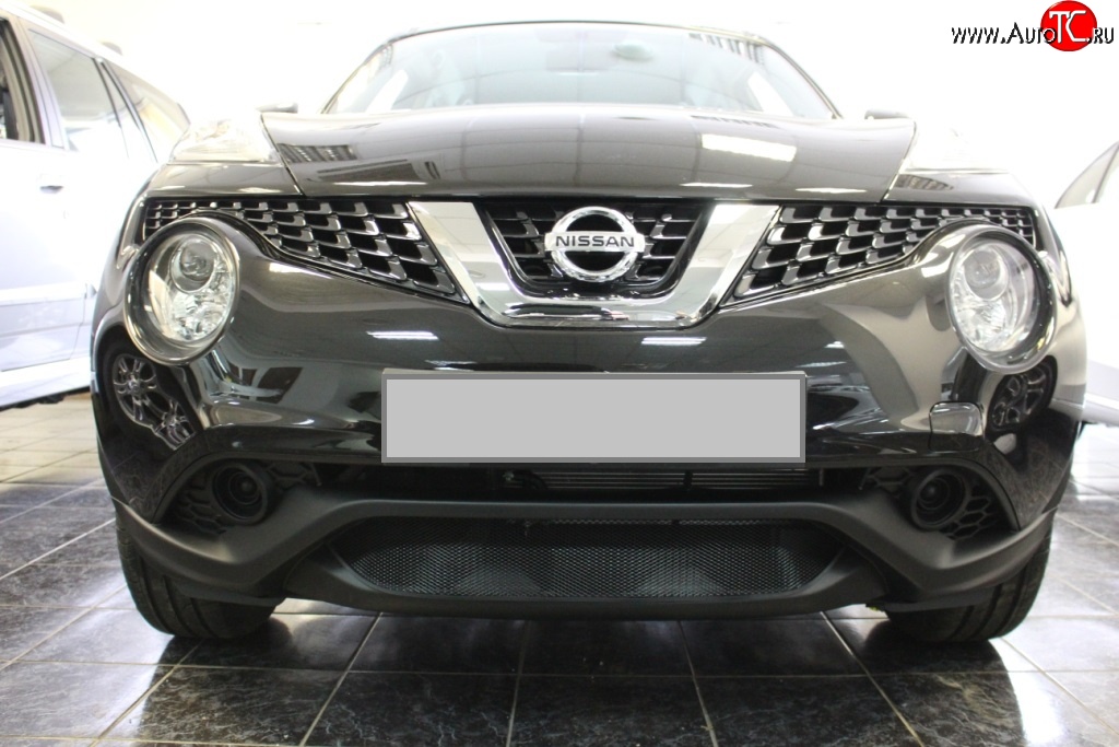 1 469 р. Сетка на бампер (рестайлинг) Russtal (черная) Nissan Juke 1 YF15 дорестайлинг (2010-2014)  с доставкой в г. Вологда