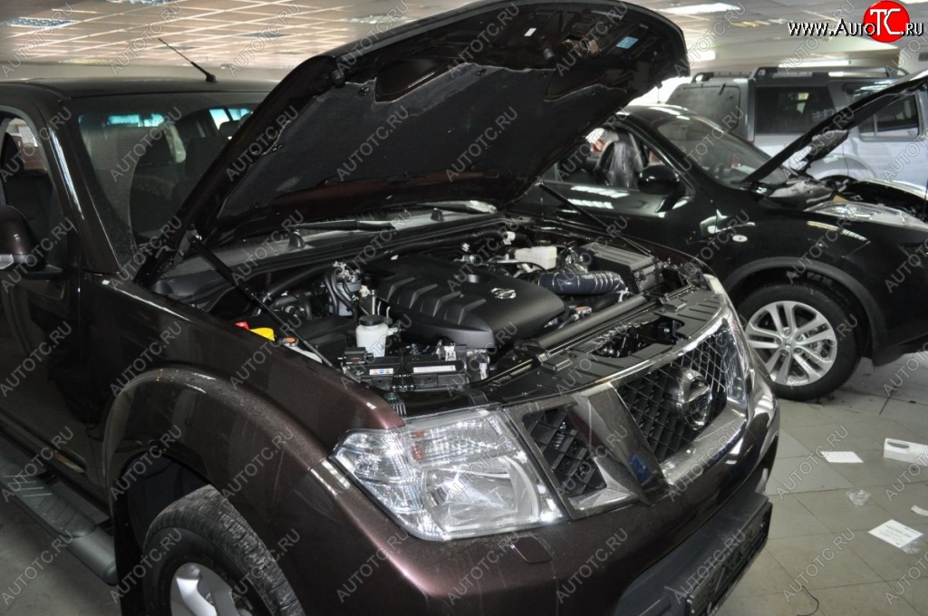 2 199 р. Газовые упоры капота Berkut Nissan Navara 2 D40 дорестайлинг (2004-2010)  с доставкой в г. Вологда
